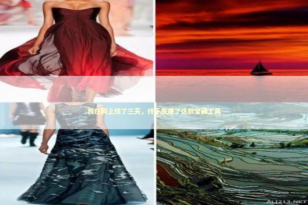 我在网上找了三天，终于发现了这款宝藏工具 IT技术