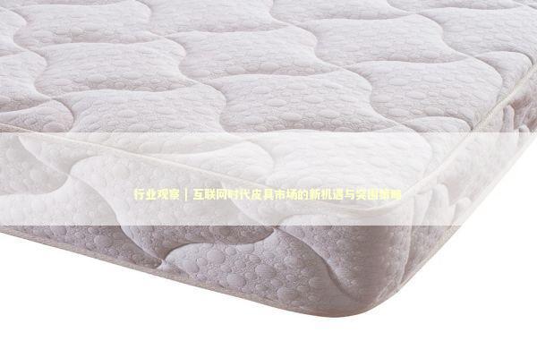 行业观察 | 互联网时代皮具市场的新机遇与突围策略 新闻